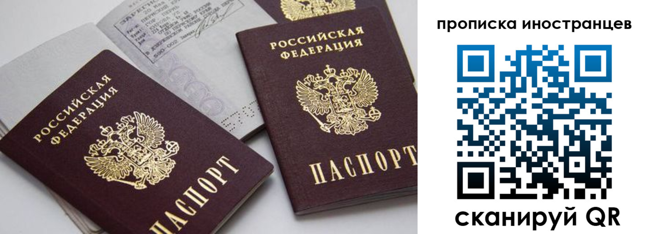 прописка поиск в Кинеле